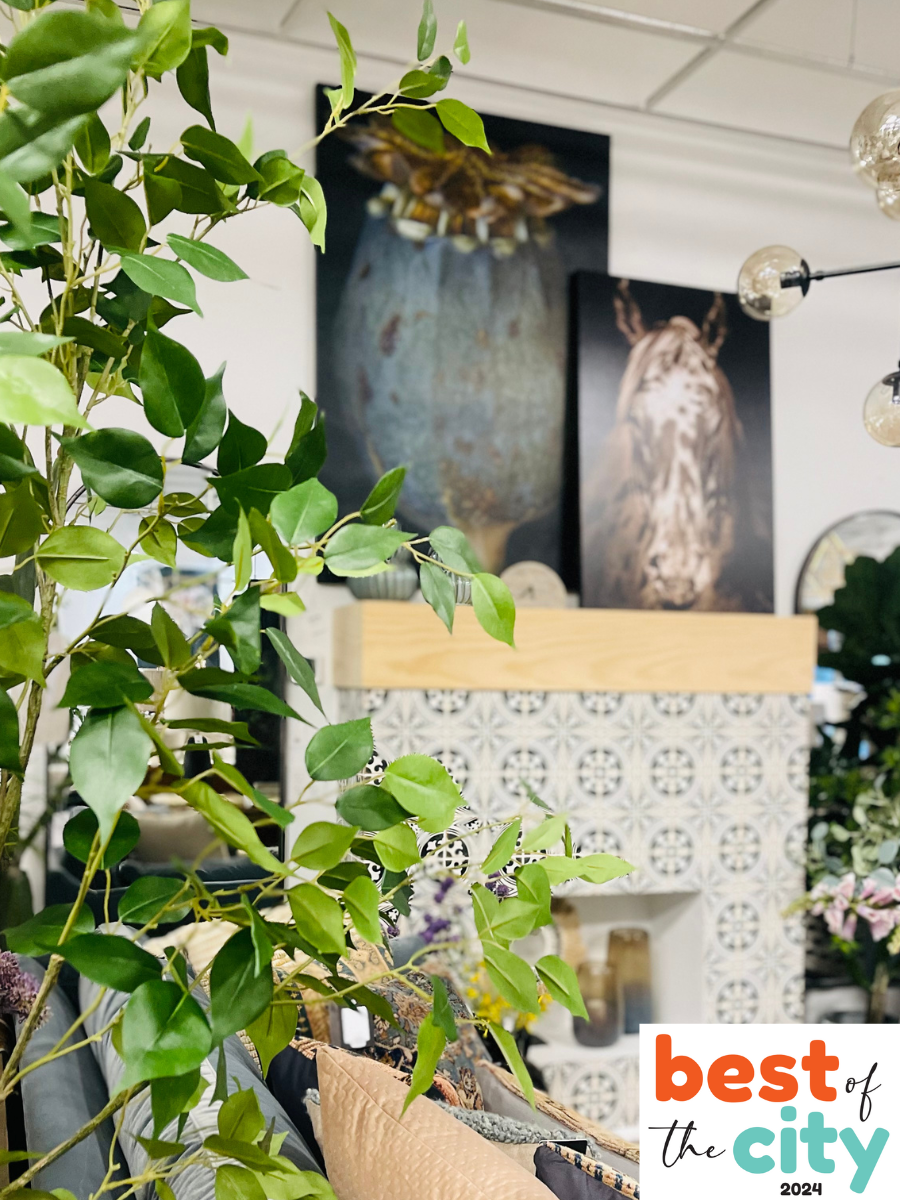 Celebrating Tucson's Best Furniture Store: Nest in the Desert is in Ce