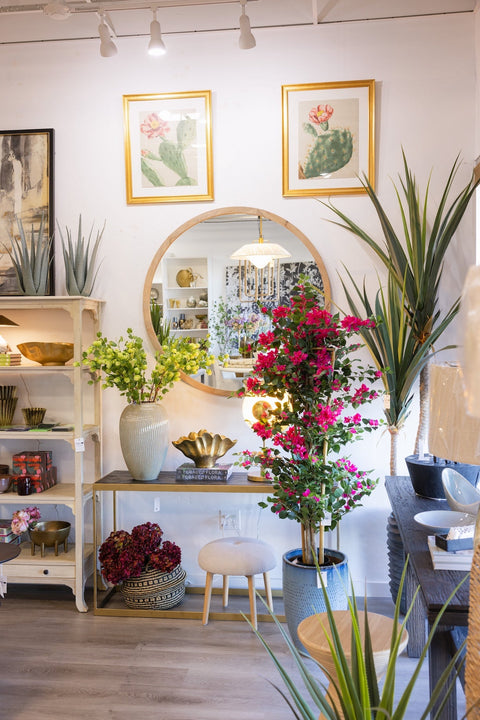 Nest in the Desert Studio Brings Elevated Design to Glendale