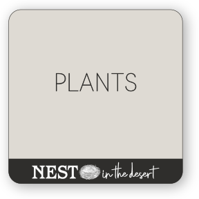 Plants