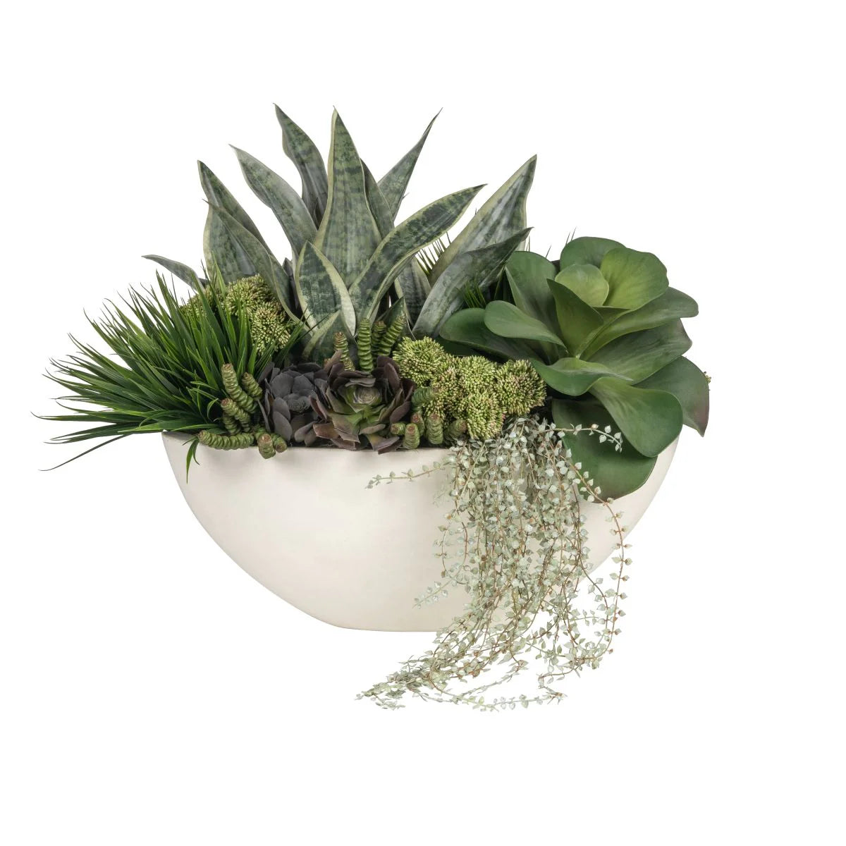 snake plant succulent arrangement Large Oval Bowl with Snake Plant & Succulent – Nest in the Desert