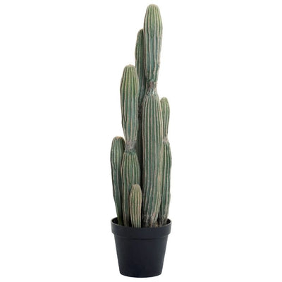 Cereus Cactus Plant-UV Treated 3'